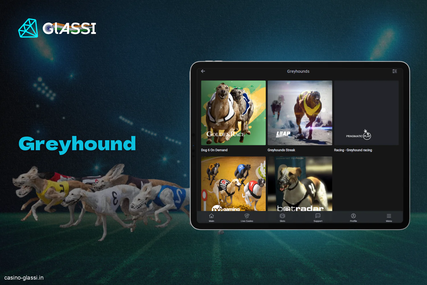 Glassi casino for Indian users has a section with a wide selection of gamblers